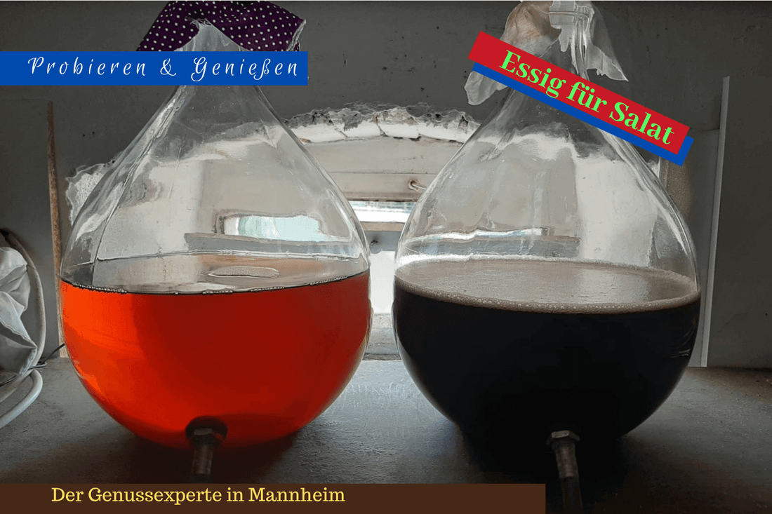 Welcher-Essig-fuer-Salat-Mannheim. Zwei Essig Glasballon mit rotem und dunklem Essig