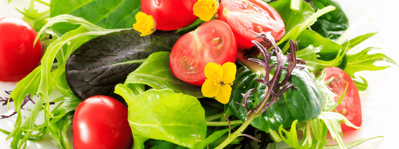 Blattsalat mit Tomaten, Kräutern und Essig
