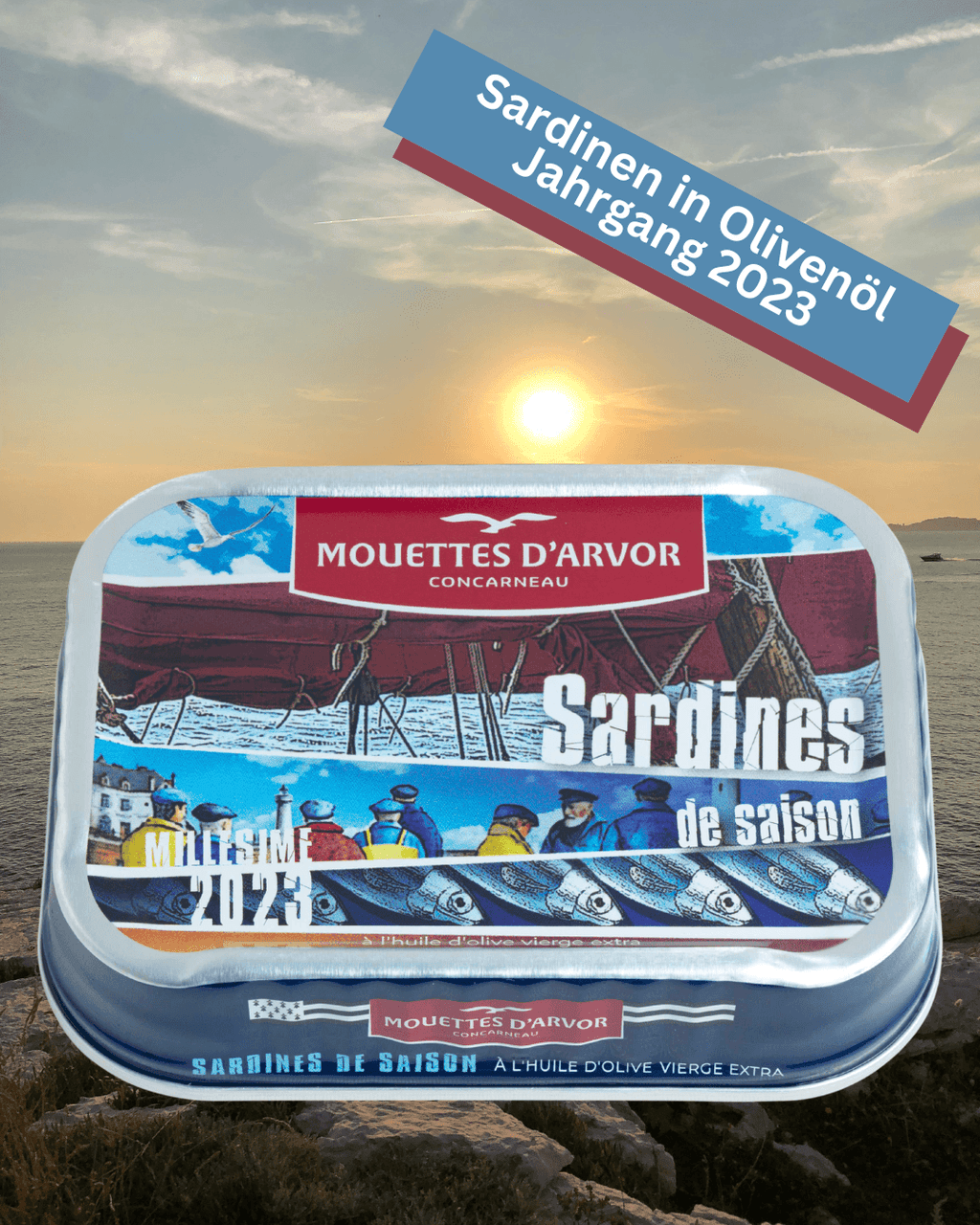 Eine blaue Dose bretonische Jahrgangssardinen 2023 mit Olivenöl von Mouettes D'Arvor. Premium Jahrgangssardinen 2023 in Olivenöl – Sardinen mit intensivem Geschmack in Mannheim.