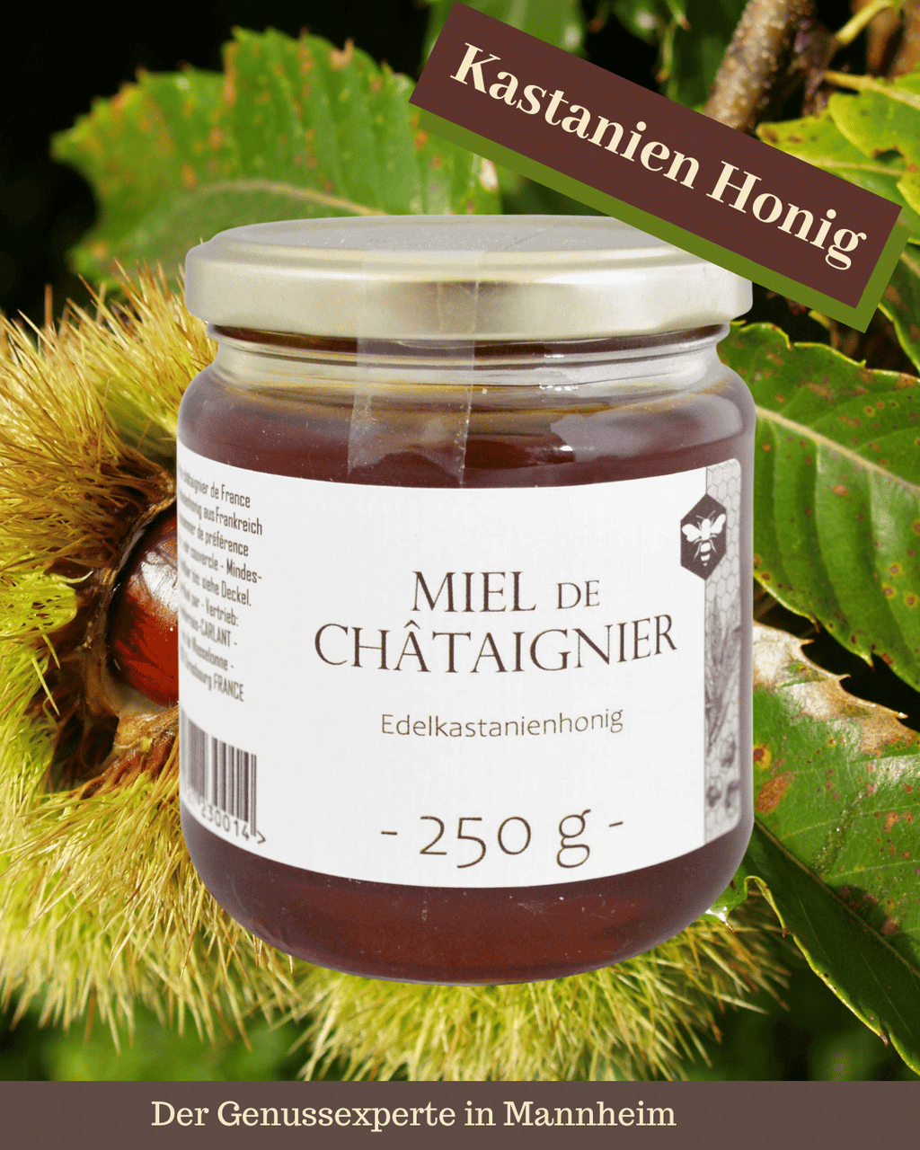 Ein Glas reiner Kastanienhonig aus Frankreich in Mannheim Quadrate