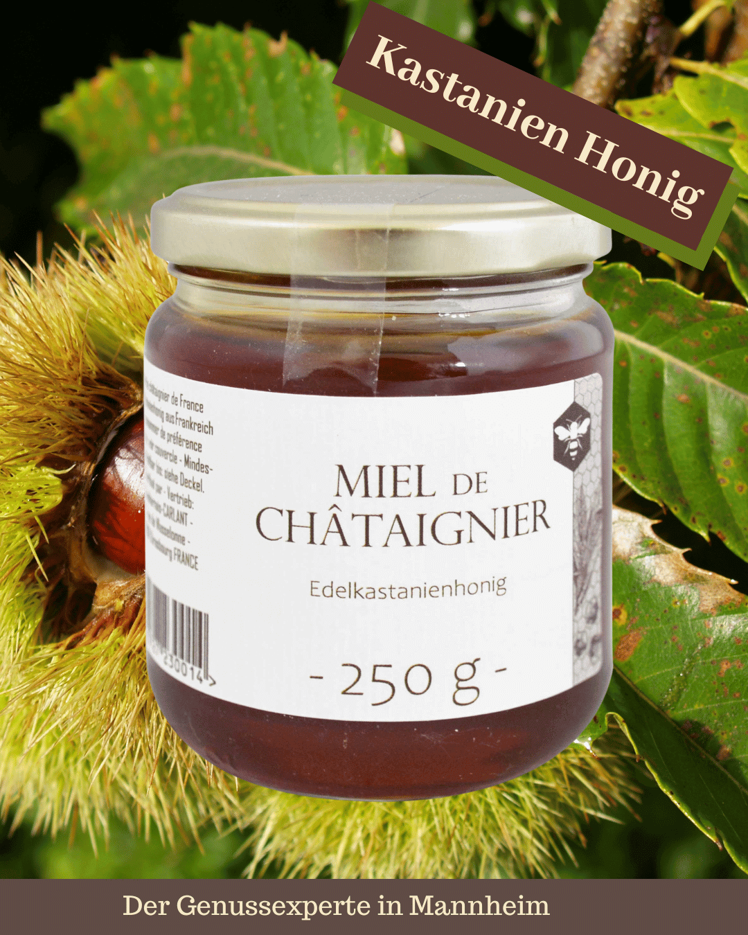 Ein Glas reiner Kastanienhonig aus Frankreich in Mannheim Quadrate