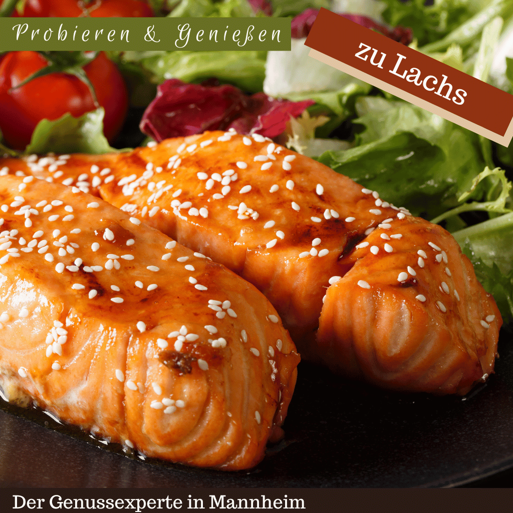 Gegrillter Lachs mit Sesam und Salat Mannheim