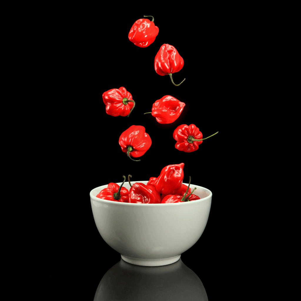Rote Habanero Chilis in einer weißen Schüssel
