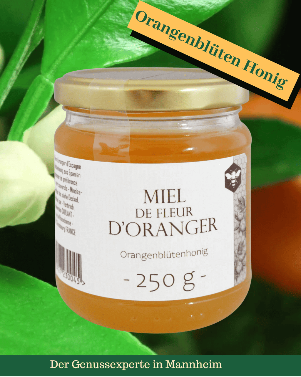 Ein Glas mit Orangenbütenhonig aus Spanien in Mannheim Innenstadt O3, 1