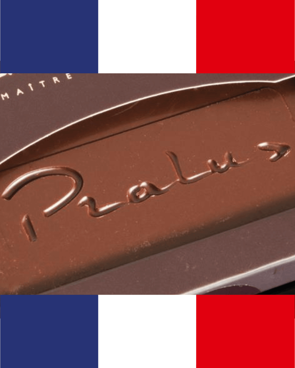 Pralus Chocolate Log