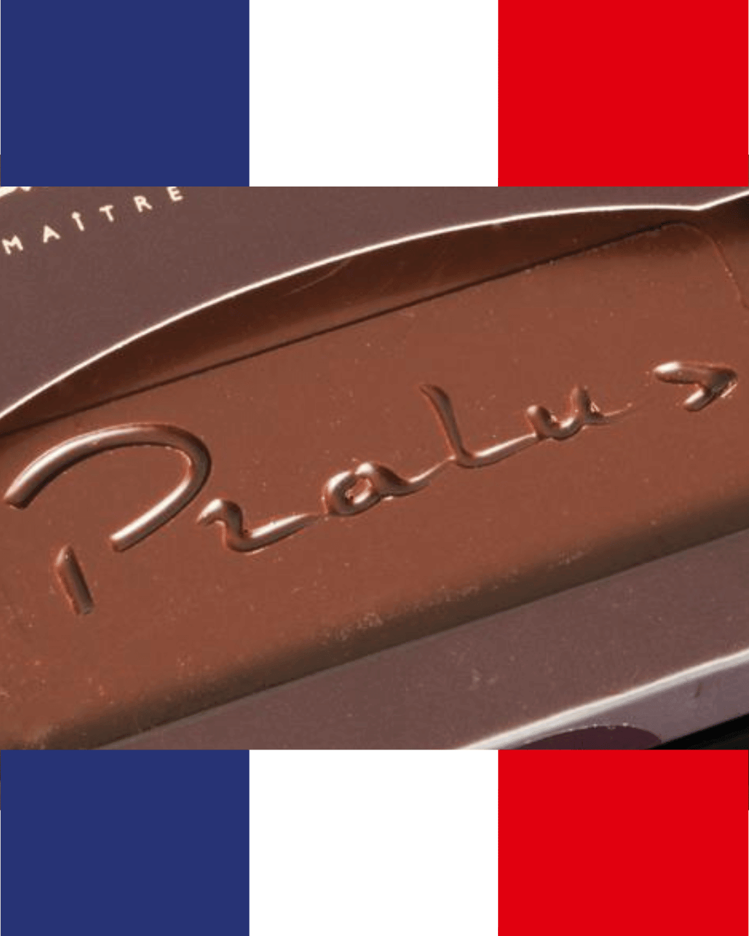 Pralus Chocolate Log
