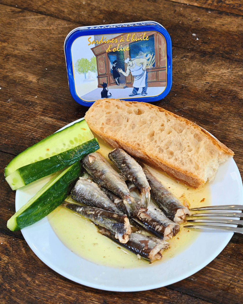Sardinen in Olivenöl auf einem weißen Teller mit Brot und frischen Gurken. Feinkost Sardinen für Genießer in Mannheim Innenstadt