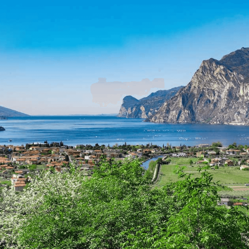 Ufer des Gardasees und Anbaugebiet des Olivenöl Madonna Vittorie.